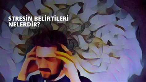 Saçtaki Stres Belirtileri Nelerdir?